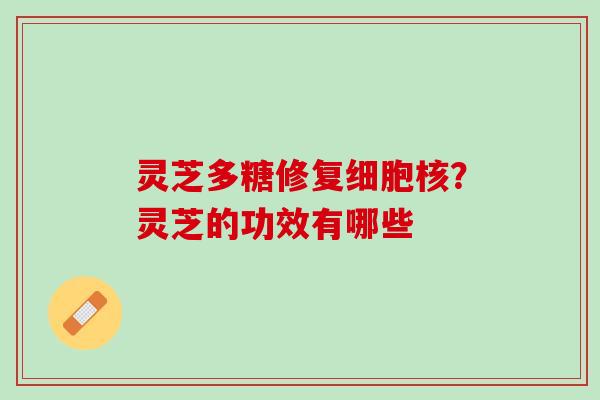 灵芝多糖修复细胞核?灵芝的功效有哪些 灵芝多糖修复细胞核?灵芝的功效有哪些