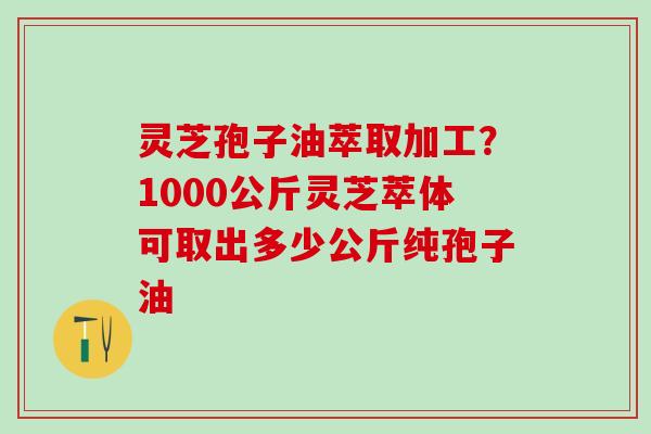 灵芝孢子油萃取加工？1000公斤灵芝萃体可取出多少公斤纯孢子油