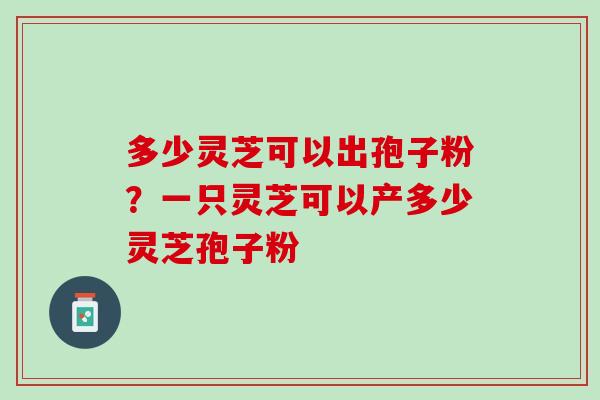 多少灵芝可以出孢子粉？一只灵芝可以产多少灵芝孢子粉