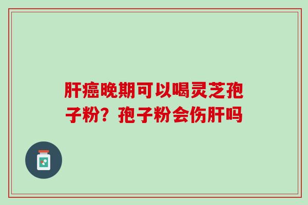 晚期可以喝灵芝孢子粉?孢子粉会伤吗 晚期可以喝灵芝孢子粉?孢子粉会伤吗