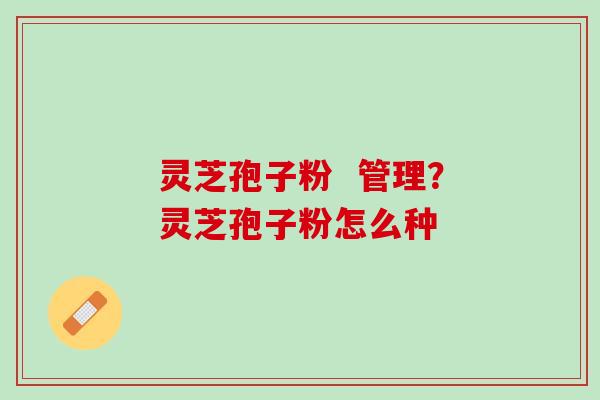 灵芝孢子粉  管理？灵芝孢子粉怎么种