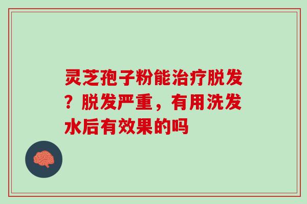 灵芝孢子粉能?严重,有用洗发水后有效果的吗 灵芝孢子粉能?严重,有用洗发水后有效果的吗
