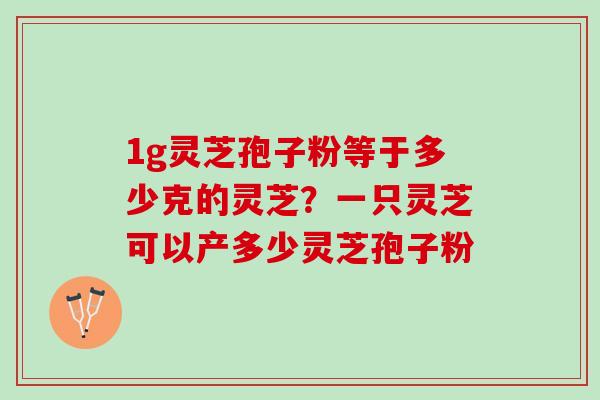 1g灵芝孢子粉等于多少克的灵芝?一只灵芝可以产多少灵芝孢子粉 1g灵芝孢子粉等于多少克的灵芝?一只灵芝可以产多少灵芝孢子粉