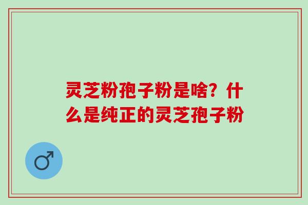 灵芝粉孢子粉是啥？什么是纯正的灵芝孢子粉