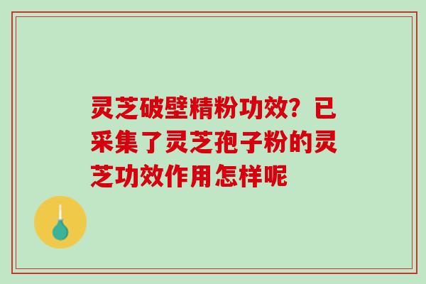 灵芝破壁精粉功效？已采集了灵芝孢子粉的灵芝功效作用怎样呢