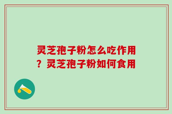 灵芝孢子粉怎么吃作用？灵芝孢子粉如何食用