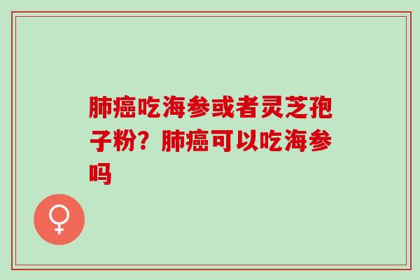 吃海参或者灵芝孢子粉?可以吃海参吗 吃海参或者灵芝孢子粉?可以吃海参吗