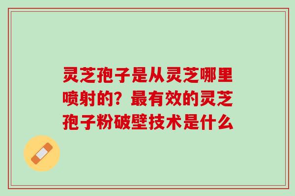灵芝孢子是从灵芝哪里喷射的？最有效的灵芝孢子粉破壁技术是什么