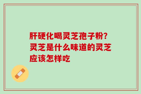肝硬化喝灵芝孢子粉？灵芝是什么味道的灵芝应该怎样吃