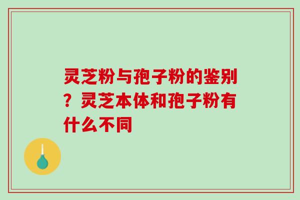 灵芝粉与孢子粉的鉴别？灵芝本体和孢子粉有什么不同
