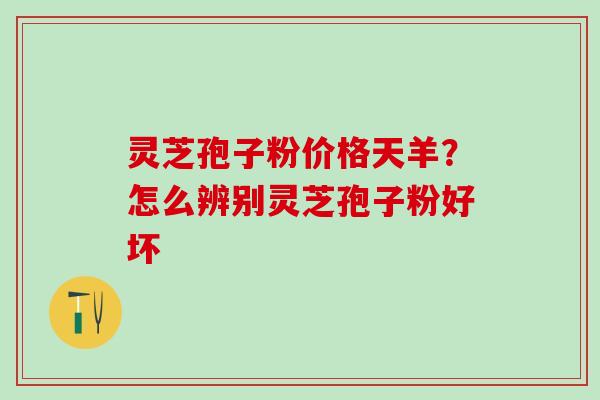 灵芝孢子粉价格天羊?怎么辨别灵芝孢子粉好坏 灵芝孢子粉价格天羊?怎么辨别灵芝孢子粉好坏