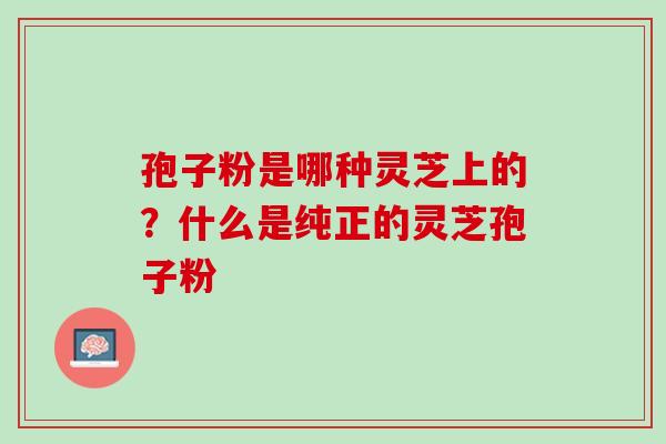 孢子粉是哪种灵芝上的？什么是纯正的灵芝孢子粉