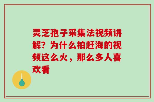 灵芝孢子采集法视频讲解?为什么拍赶海的视频这么火,那么多人喜欢看 灵芝孢子采集法视频讲解?为什么拍赶海的视频这么火,那么多人喜欢看