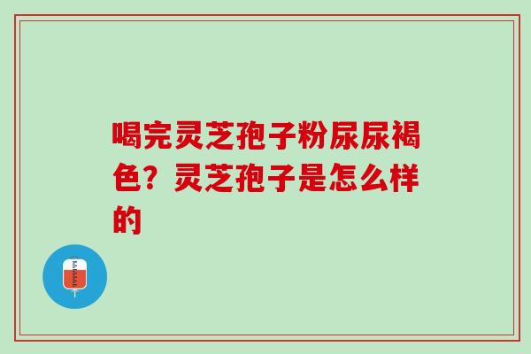 喝完灵芝孢子粉尿尿褐色？灵芝孢子是怎么样的