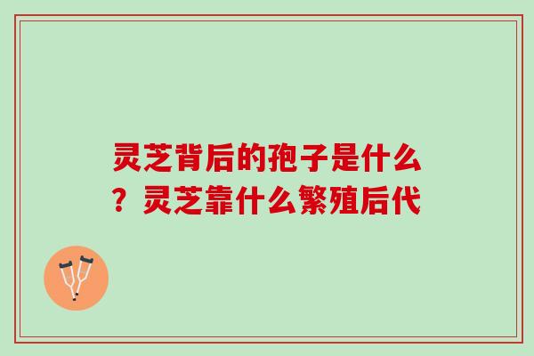 灵芝背后的孢子是什么？灵芝靠什么繁殖后代