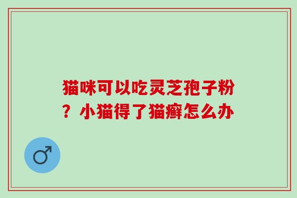 猫咪可以吃灵芝孢子粉？小猫得了猫癣怎么办