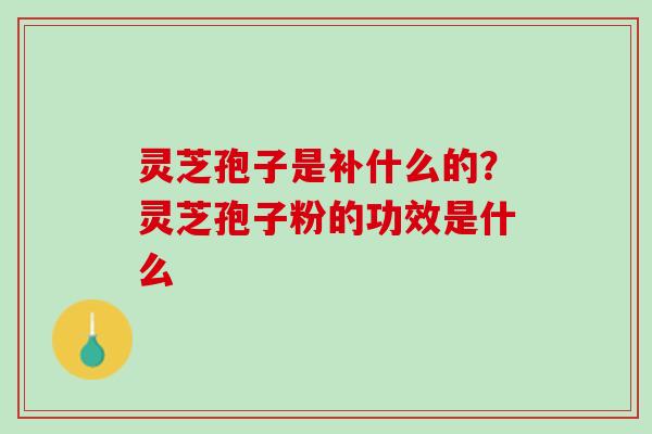 灵芝孢子是补什么的？灵芝孢子粉的功效是什么