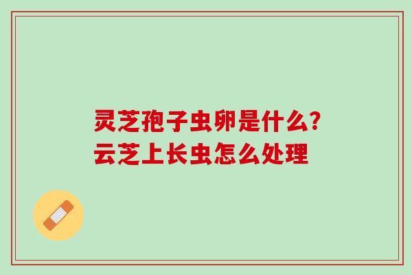 灵芝孢子虫卵是什么？云芝上长虫怎么处理