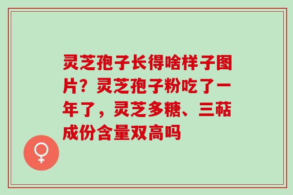 灵芝孢子长得啥样子图片？灵芝孢子粉吃了一年了，灵芝多糖、三萜成份含量双高吗