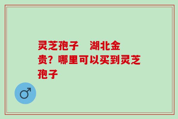 灵芝孢子   湖北金贵？哪里可以买到灵芝孢子