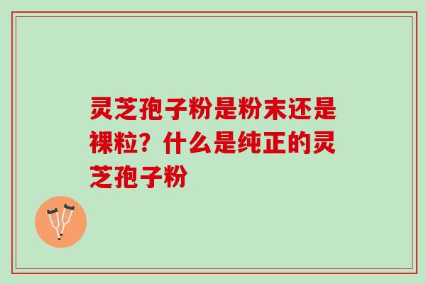 灵芝孢子粉是粉末还是裸粒？什么是纯正的灵芝孢子粉