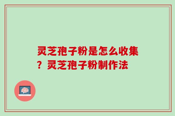 灵芝孢子粉是怎么收集?灵芝孢子粉制作法 灵芝孢子粉是怎么收集?灵芝孢子粉制作法