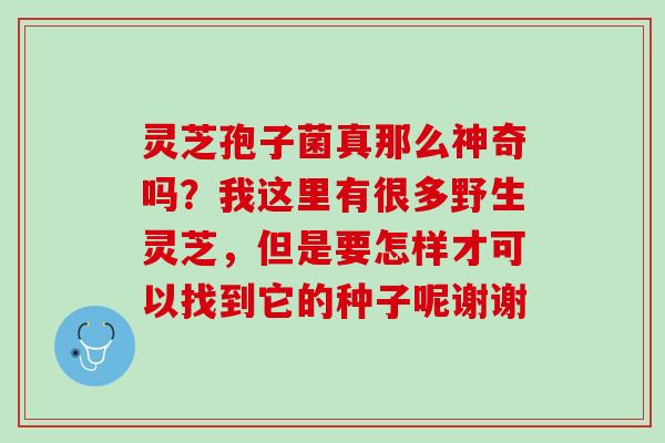 灵芝孢子菌真那么神奇吗？我这里有很多野生灵芝，但是要怎样才可以找到它的种子呢谢谢