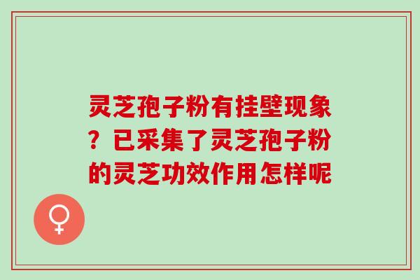 灵芝孢子粉有挂壁现象?已采集了灵芝孢子粉的灵芝功效作用怎样呢 灵芝孢子粉有挂壁现象?已采集了灵芝孢子粉的灵芝功效作用怎样呢