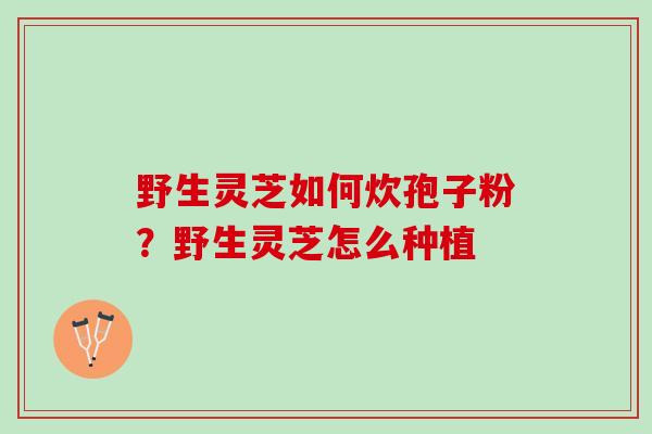 野生灵芝如何炊孢子粉?野生灵芝怎么种植 野生灵芝如何炊孢子粉?野生灵芝怎么种植