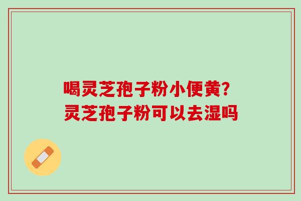 喝灵芝孢子粉小便黄？灵芝孢子粉可以去湿吗