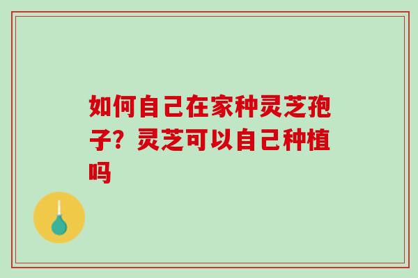 如何自己在家种灵芝孢子?灵芝可以自己种植吗 如何自己在家种灵芝孢子?灵芝可以自己种植吗