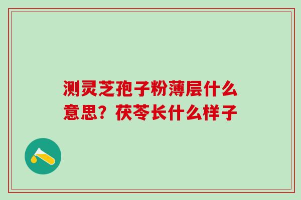 测灵芝孢子粉薄层什么意思？茯苓长什么样子