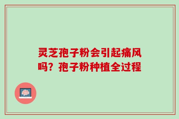 灵芝孢子粉会引起痛风吗？孢子粉种植全过程