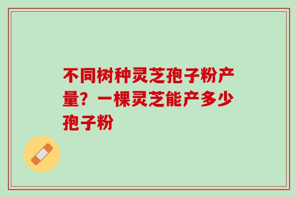 不同树种灵芝孢子粉产量？一棵灵芝能产多少孢子粉