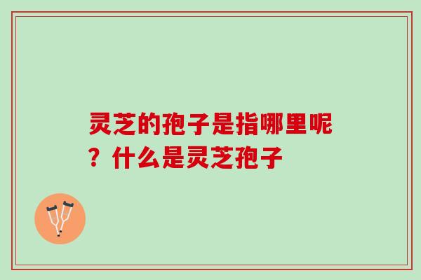 灵芝的孢子是指哪里呢？什么是灵芝孢子