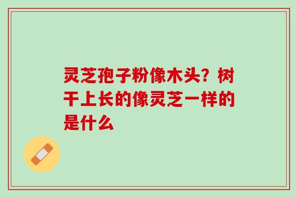 灵芝孢子粉像木头？树干上长的像灵芝一样的是什么