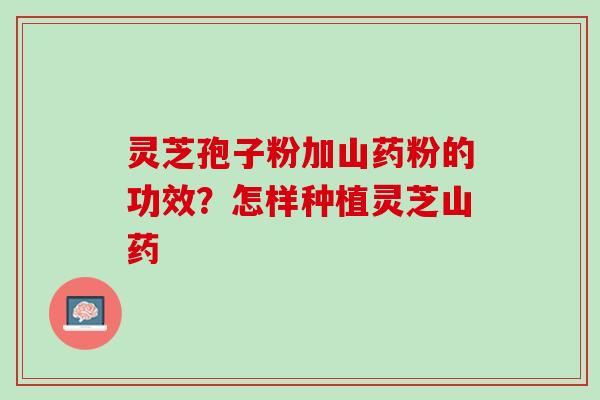 灵芝孢子粉加山药粉的功效？怎样种植灵芝山药