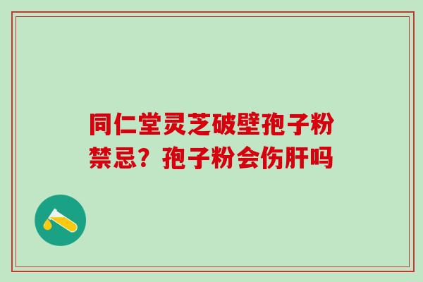 同仁堂灵芝破壁孢子粉禁忌？孢子粉会伤肝吗