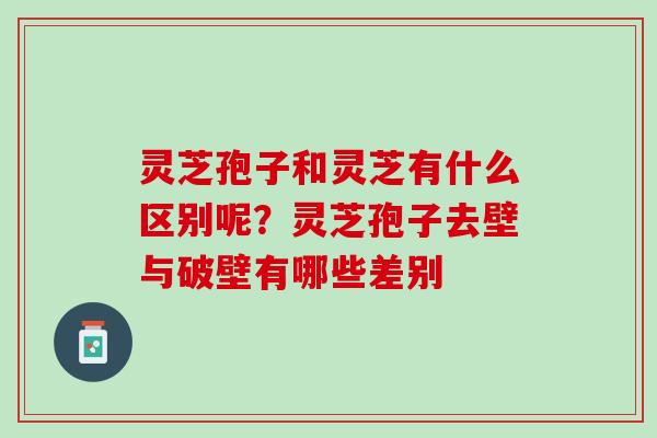 灵芝孢子和灵芝有什么区别呢？灵芝孢子去壁与破壁有哪些差别