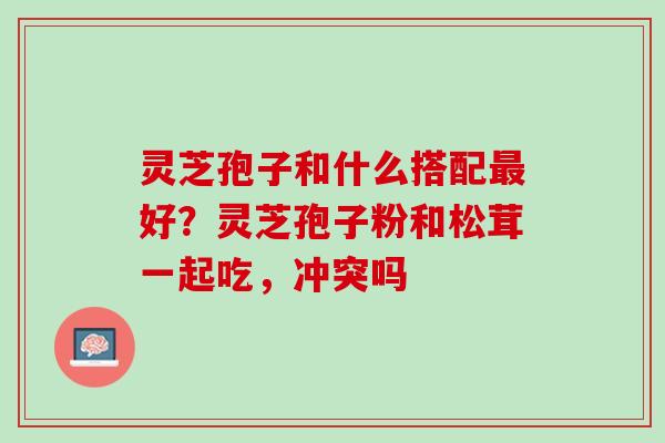 灵芝孢子和什么搭配最好？灵芝孢子粉和松茸一起吃，冲突吗