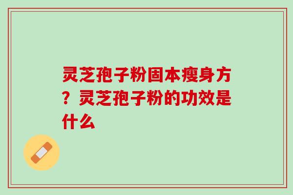 灵芝孢子粉固本瘦身方？灵芝孢子粉的功效是什么