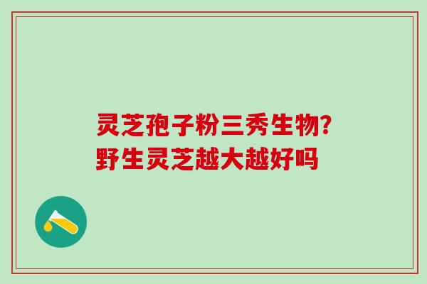 灵芝孢子粉三秀生物？野生灵芝越大越好吗