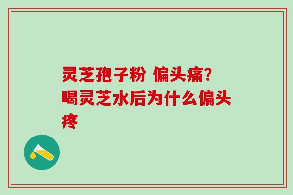 灵芝孢子粉 ?喝灵芝水后为什么偏头疼 灵芝孢子粉 ?喝灵芝水后为什么偏头疼