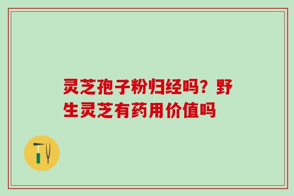 灵芝孢子粉归经吗?野生灵芝有药用价值吗 灵芝孢子粉归经吗?野生灵芝有药用价值吗