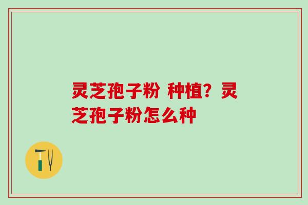 灵芝孢子粉 种植？灵芝孢子粉怎么种