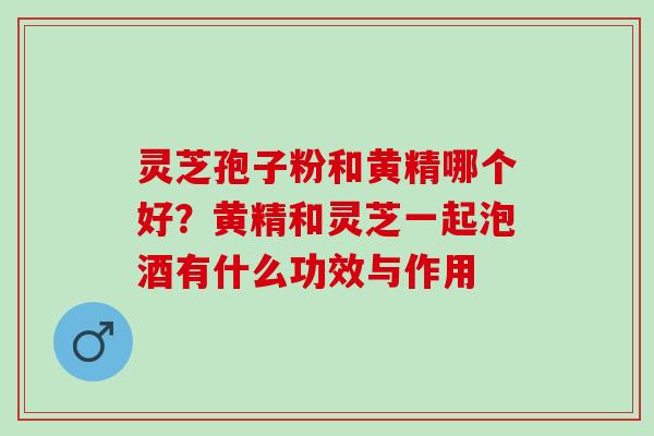 灵芝孢子粉和黄精哪个好？黄精和灵芝一起泡酒有什么功效与作用