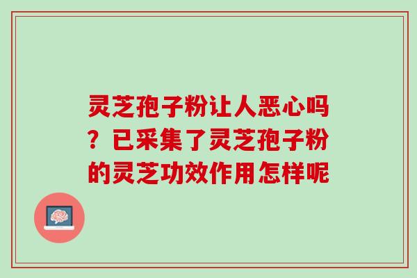 灵芝孢子粉让人恶心吗？已采集了灵芝孢子粉的灵芝功效作用怎样呢
