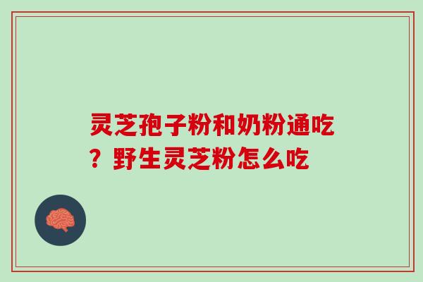 灵芝孢子粉和奶粉通吃？野生灵芝粉怎么吃