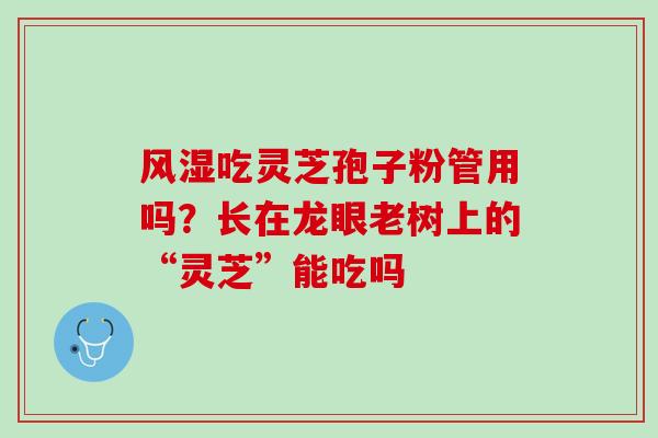风湿吃灵芝孢子粉管用吗?长在龙眼老树上的“灵芝”能吃吗 风湿吃灵芝孢子粉管用吗?长在龙眼老树上的“灵芝”能吃吗