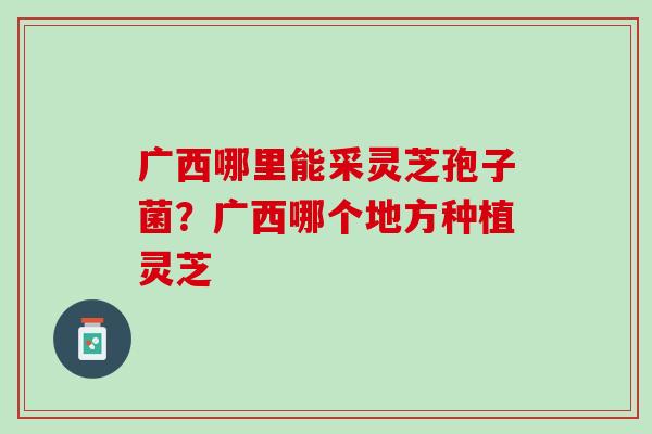 广西哪里能采灵芝孢子菌？广西哪个地方种植灵芝